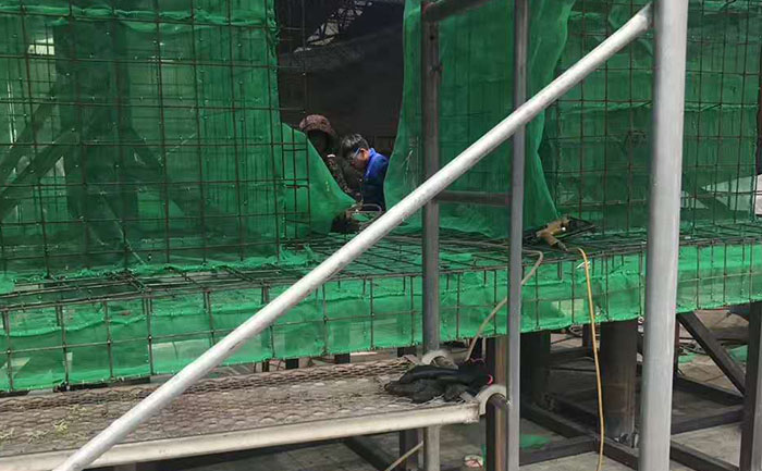 國慶仿真綠雕掛網